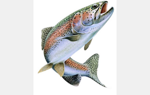 Concours de pêche de mars 2026